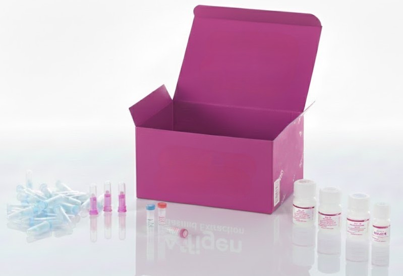 [0313-PAC961] Cáncer de páncreas con cambios progresivos, 48 casos en 96 núcleos (1,5 mm)